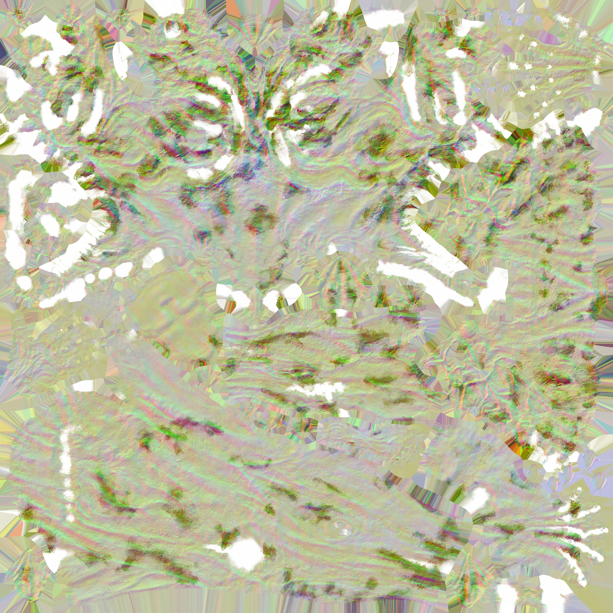 BD_M_2740[Body]_n.png